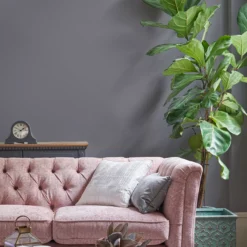 Laura Ashley Pale Iris Matt Emulsion Paint, 5L -Paint and Painting Supplies Store laura ashley pale iris matt emulsion paint 5l5011583473384 01i bq