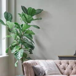 Laura Ashley Pale Sage Leaf Matt Emulsion Paint, 2.5L -Paint and Painting Supplies Store laura ashley pale sage leaf matt emulsion paint 2 5l5011583472417 02i bq