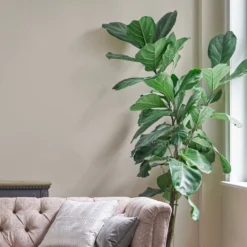 Laura Ashley Soft Natural Eggshell Emulsion Paint, 750ml -Paint and Painting Supplies Store laura ashley soft natural eggshell emulsion paint 750ml5011583473544 02i bq